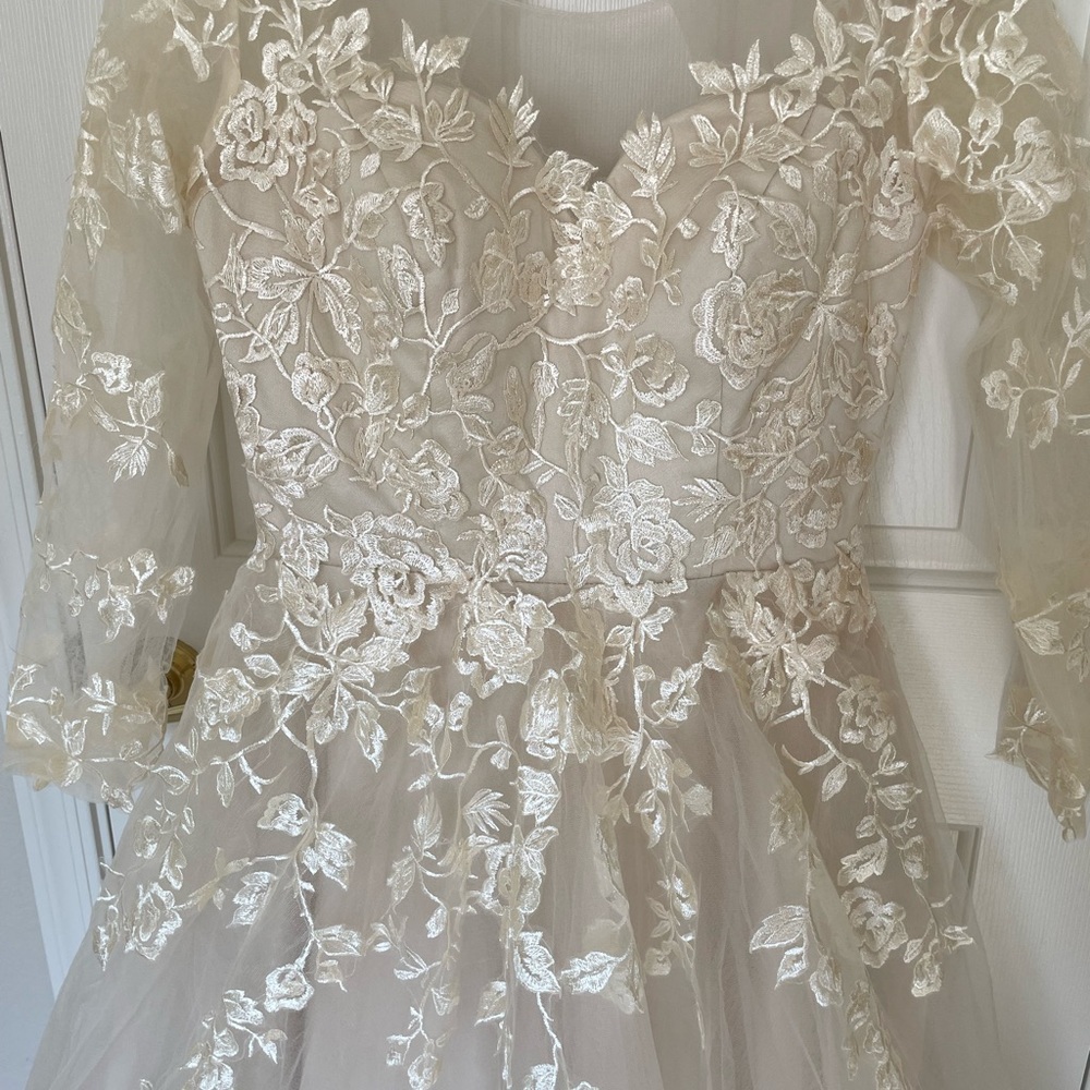 Gorgeous champagne lace wedding gown - Picture 6 of 12